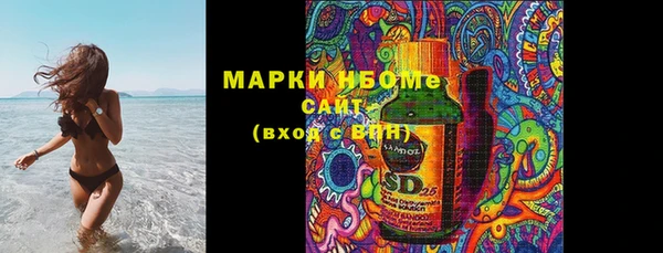 шишки Верея